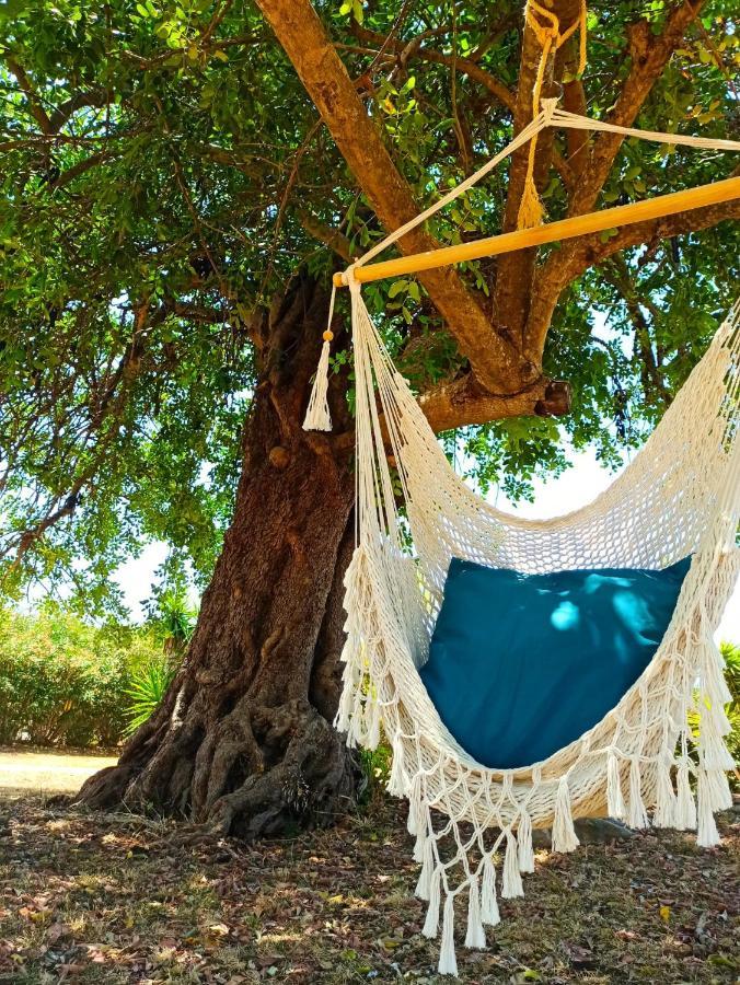 Quinta Pereiro Tropic Garden, Algarve Bed & Breakfast Moncarapacho Ngoại thất bức ảnh