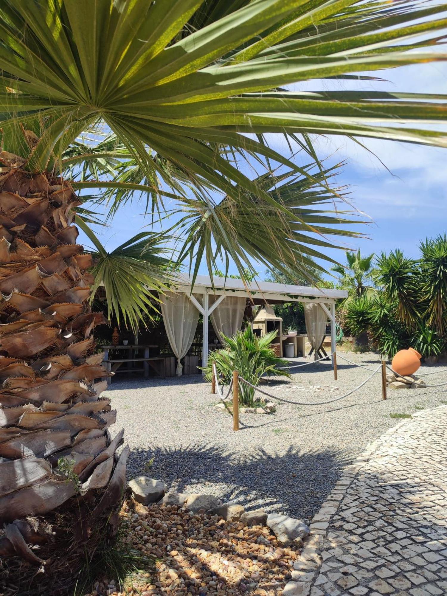 Quinta Pereiro Tropic Garden, Algarve Bed & Breakfast Moncarapacho Ngoại thất bức ảnh